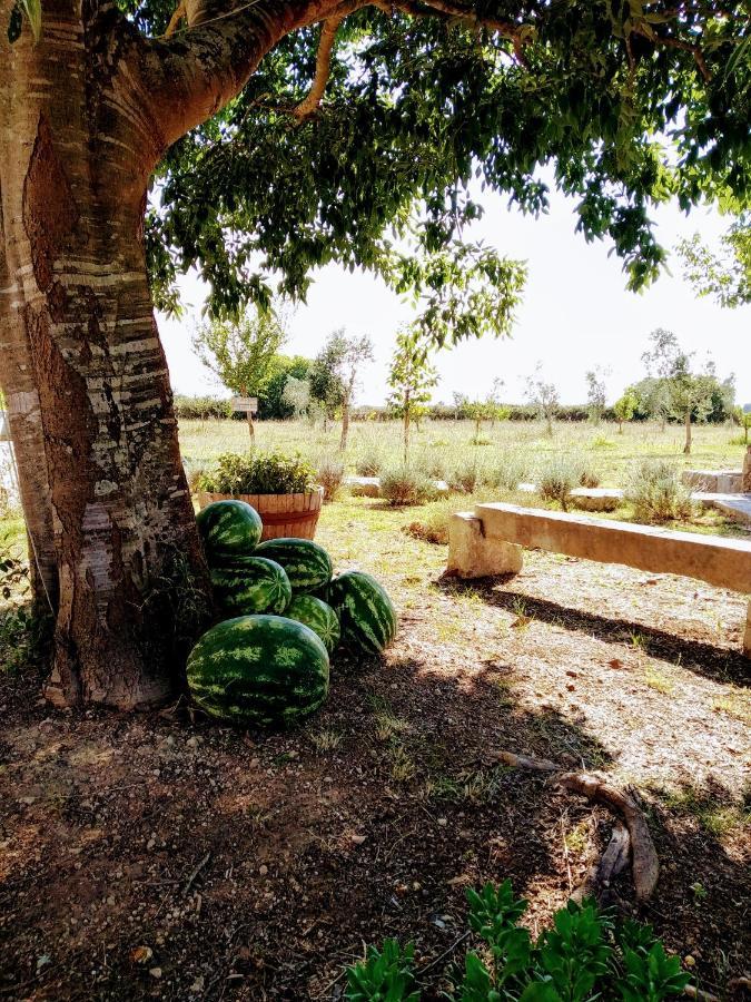 Corigliano dʼOtranto Masseria Cataldo מראה חיצוני תמונה