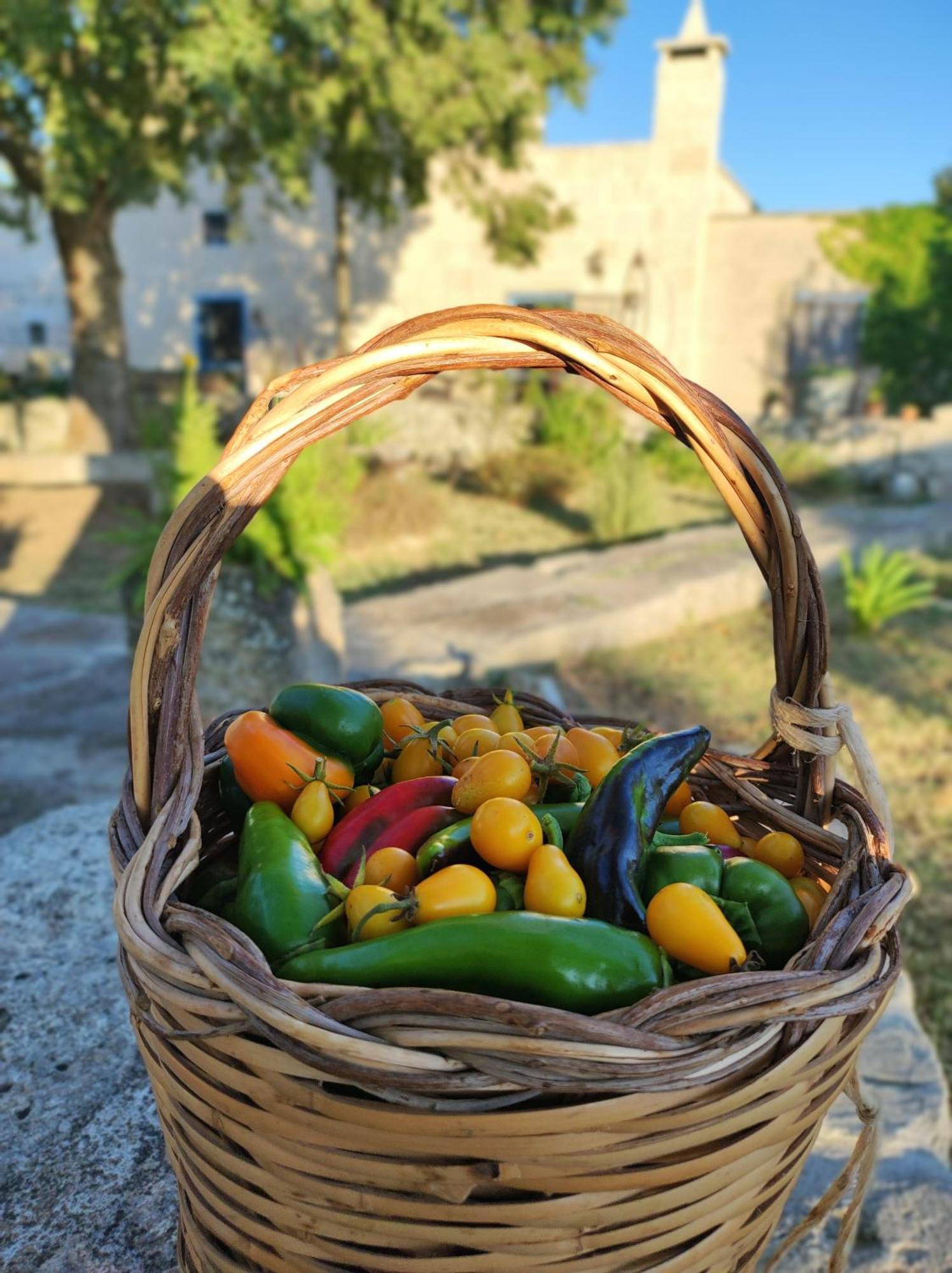 Corigliano dʼOtranto Masseria Cataldo מראה חיצוני תמונה