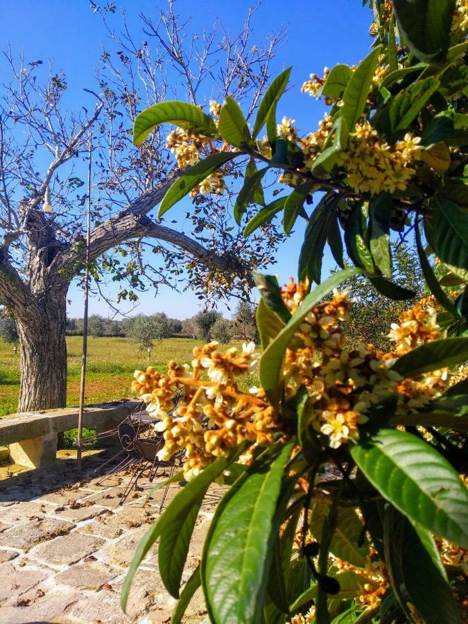 Corigliano dʼOtranto Masseria Cataldo מראה חיצוני תמונה